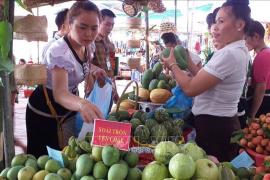 Kế hoạch Phát triển kinh tế tập thể trong lĩnh vực nông nghiệp trên địa bàn Thành phố Hồ Chí Minh giai đoạn 2021 - 2025 và nhiệm vụ trọng tâm năm 2021