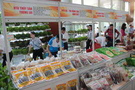 Một số chính sách hỗ trợ lãi vay cho các hợp tác xã nông nghiệp trên địa bàn Thành phố Hồ Chí Minh