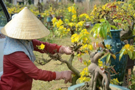 Thủ tướng Chính phủ phê duyệt Chương trình bảo tồn và phát triển làng nghề Việt Nam giai đoạn 2021–2030