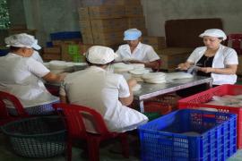 Nhiều cơ chế chính sách hỗ trợ phát triên ngành nghề nông thôn trên địa bàn Thành phố Hồ Chí Minh