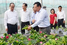Thành phố Hồ Chí Minh phấn đấu để trở thành trung tâm giống cây trồng, vật nuôi phục vụ sản xuất nông nghiệp cho các tỉnh Đông và Tây Nam bộ