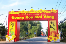 UBND Huyện Bình Chánh tổ chức đường hoa Mai vàng Bình Lợi kết hợp trưng bày sản phẩm nông nghiệp