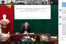 Hội nghị trực tuyến kết nối chế biến và thương mại nông sản Việt Nam – Nhật Bản
